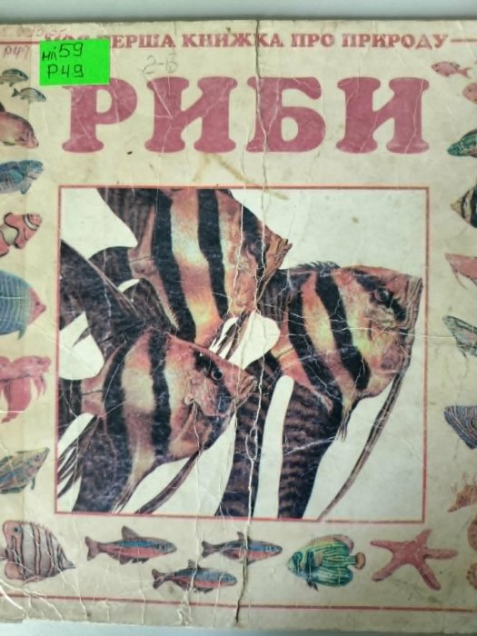 Риби