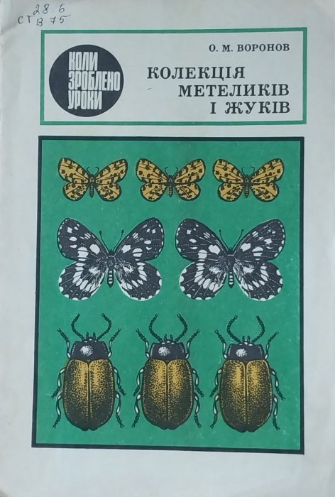 Колекція метеликів і жуків