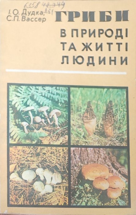 Гриби в природі та житті людини