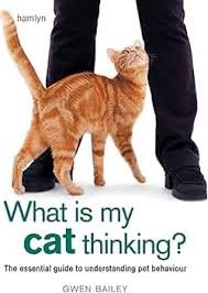 What is my cat thinking