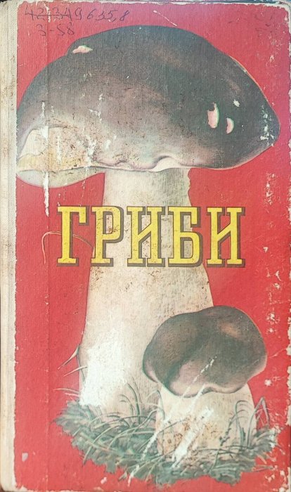 Гриби