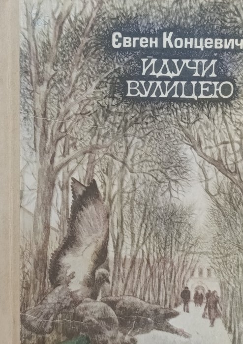 Йдучи вулицею